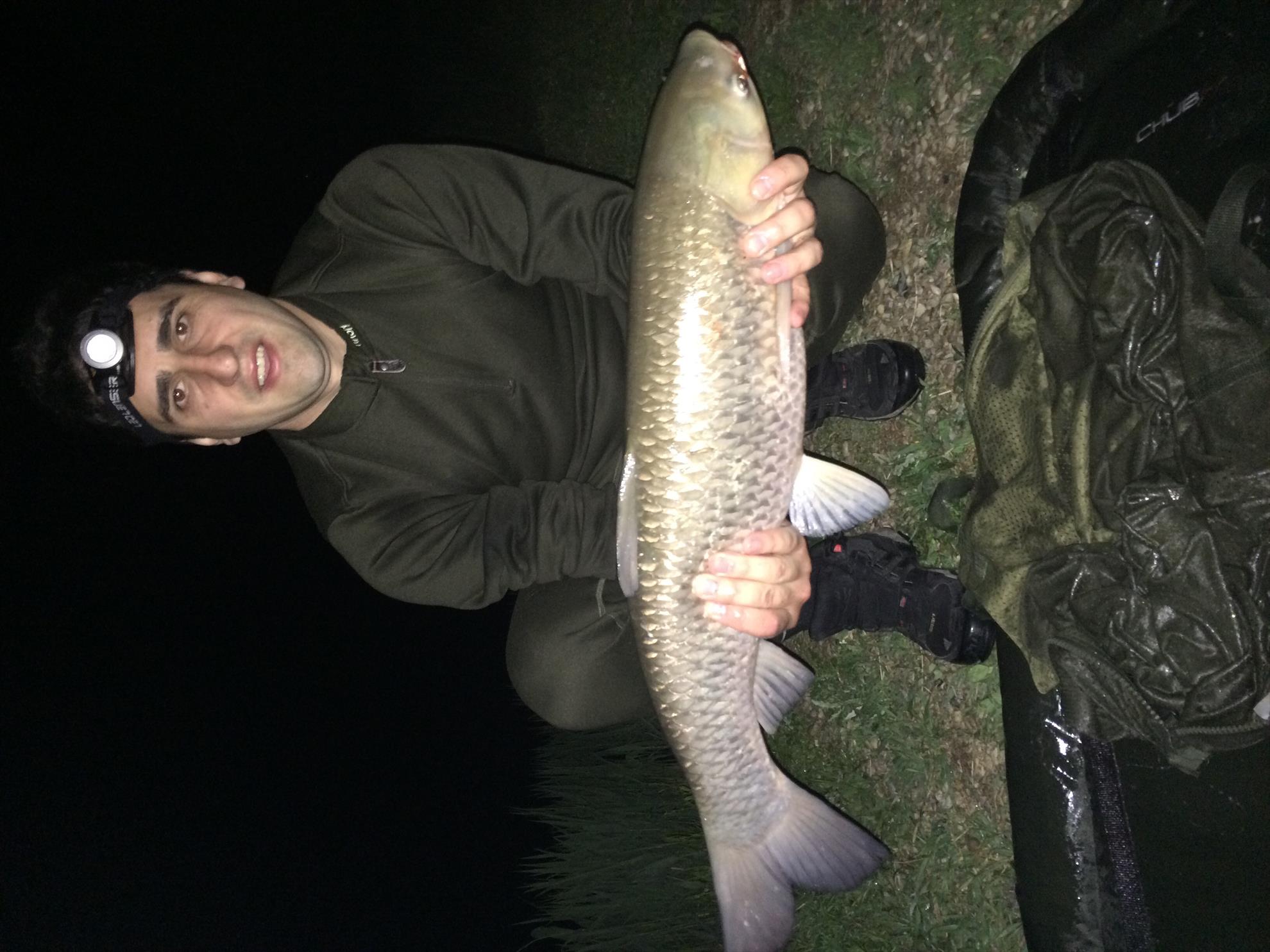 Balta mobydick dorlot - image11.jpg